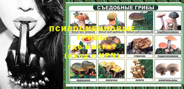 стаф Магадан
