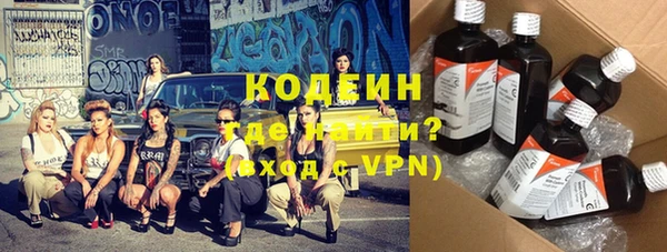 apvp Бородино