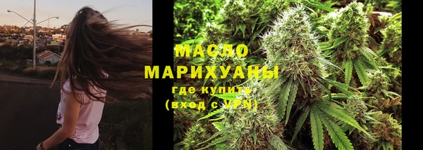 apvp Бородино