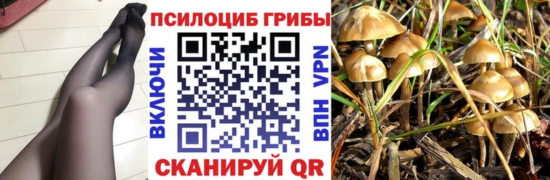 Псилоцибиновые грибы прущие грибы  Вичуга 