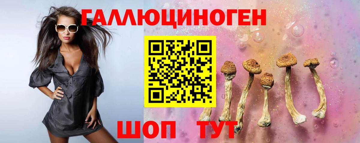 Вичуга  Псилоцибиновые грибы мицелий  Вход с VPN  Галлюциногенные грибы GOLDEN TEACHER 