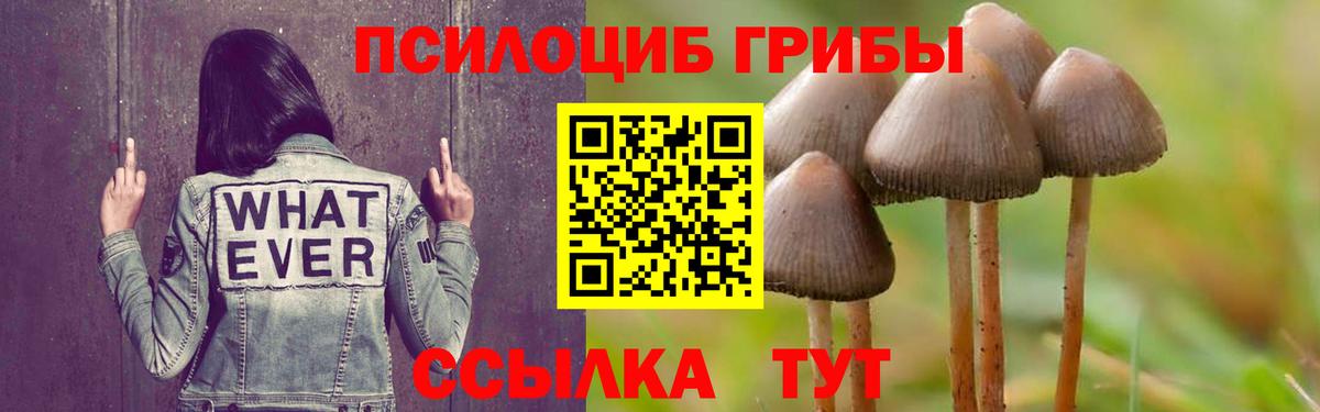 купить  цена  Псилоцибиновые грибы прущие грибы  Вичуга  Галлюциногенные грибы прущие грибы 