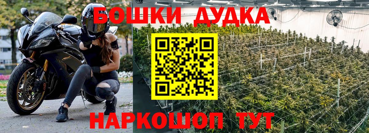 Канабис гибрид Вичуга